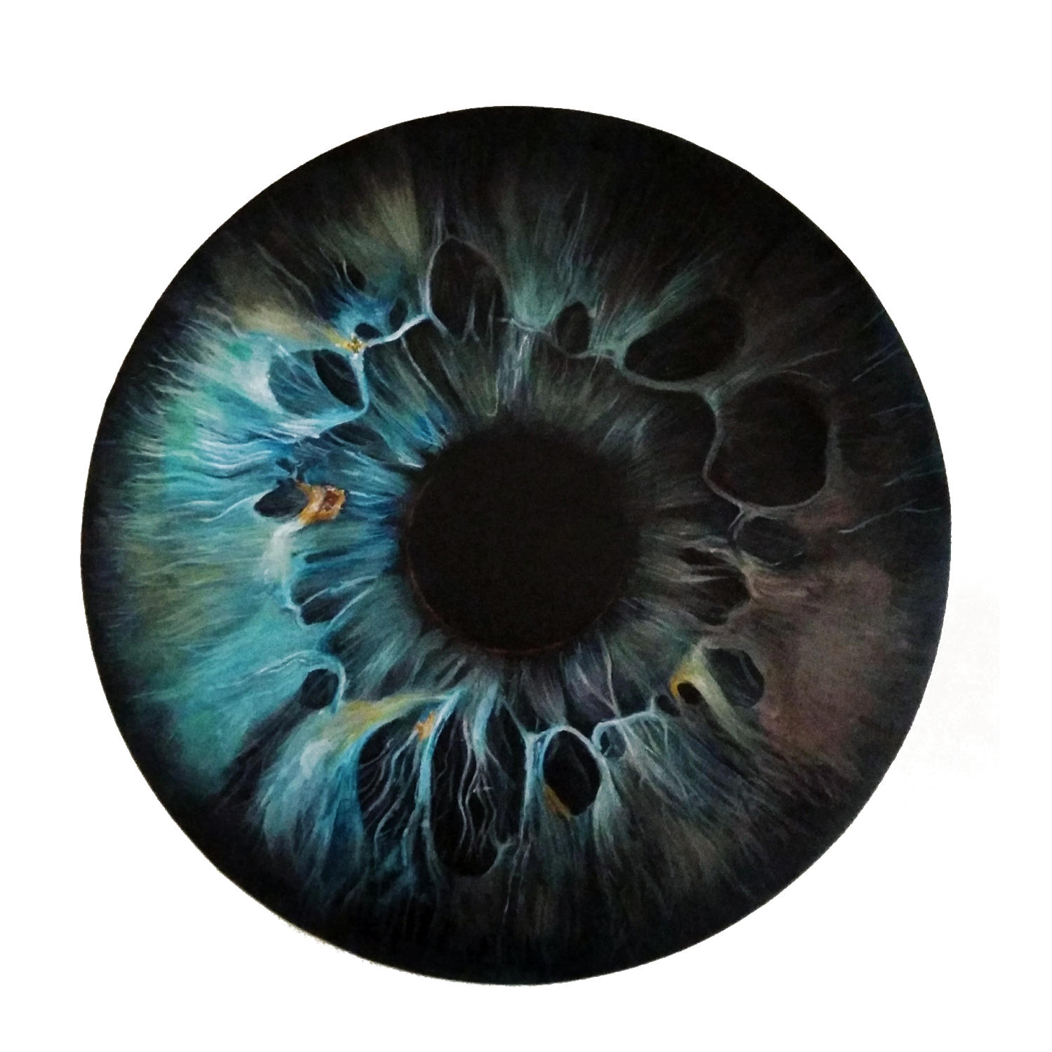 blue eye iris